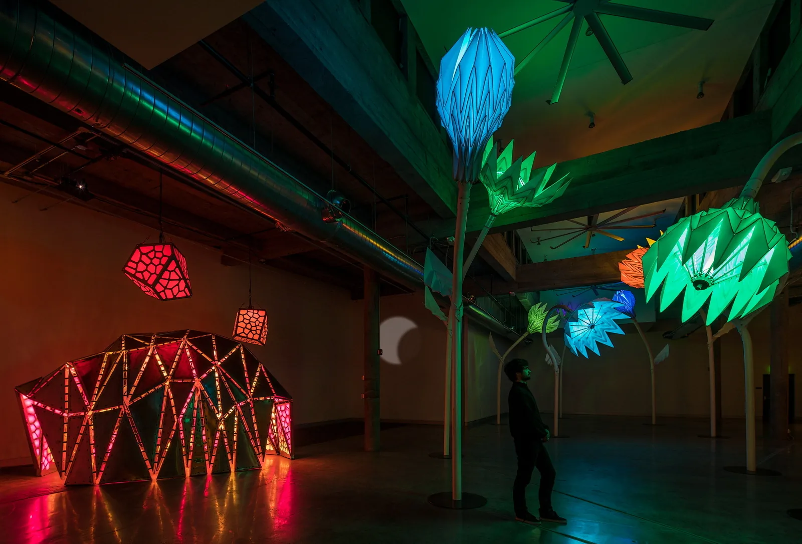 Blumen Lumen by Foldhaus in the Light exhibition at KANEKO in 2018