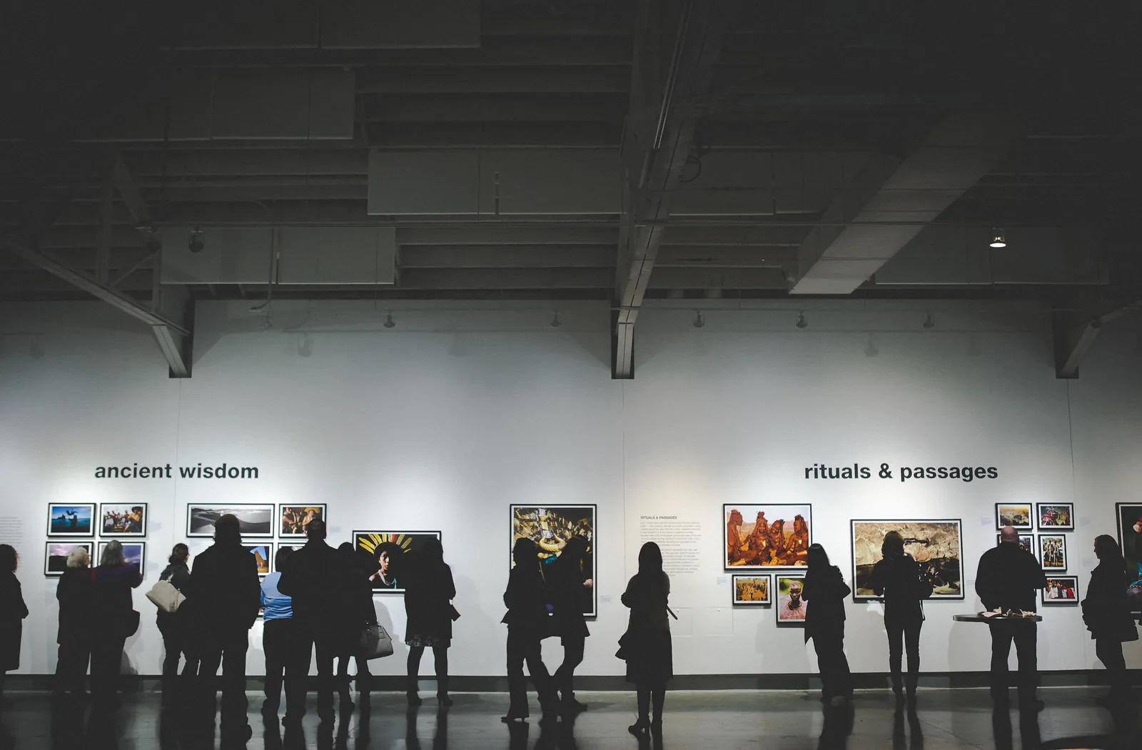 Installation view of No Strangers: Ancient Wisdom in a Modern World at KANEKO in 2014