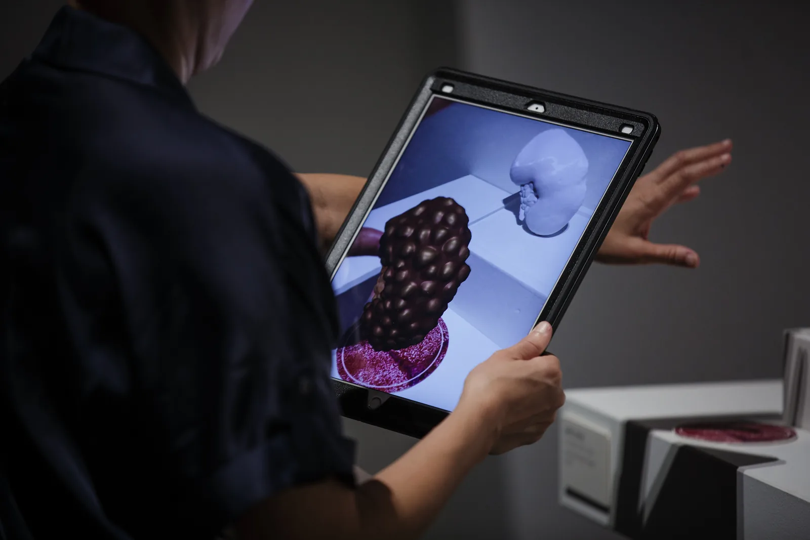 Augmented reality healthcare installation displayed on a tablet during Reality at KANEKO in 2018